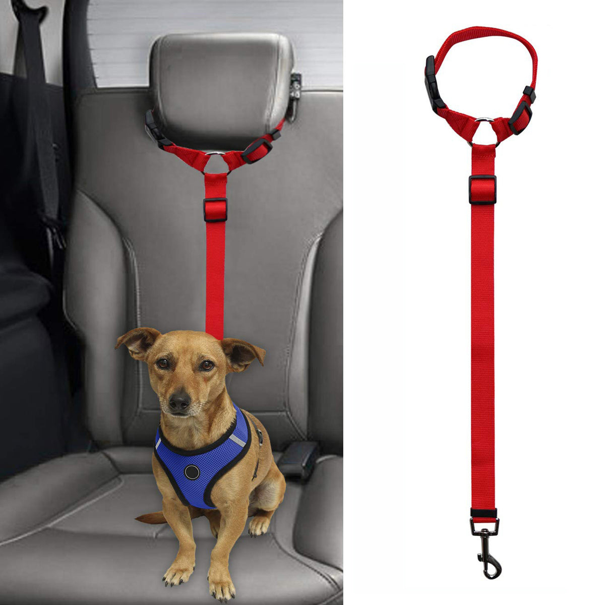 2-in-1 Dog Car Seat Belt & Leash by Beasock