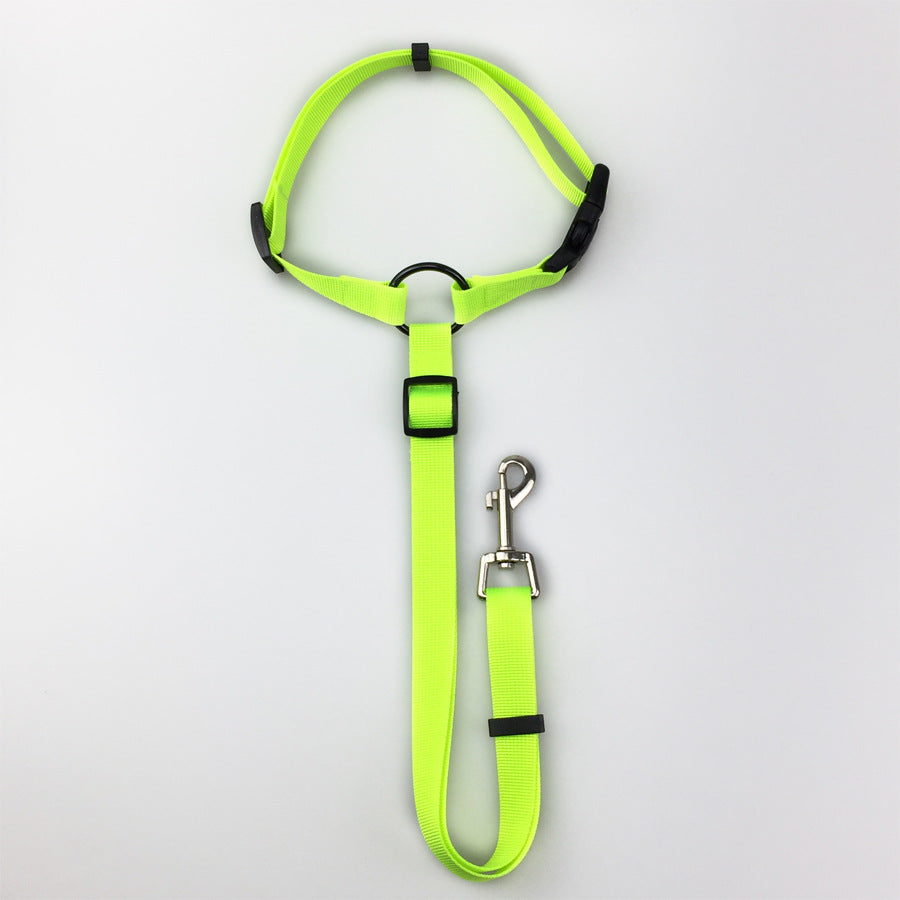 2-in-1 Dog Car Seat Belt & Leash – Green