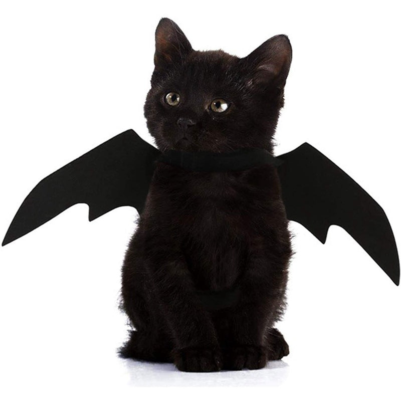Halloween Bat Wings Pet Costume on a black cat