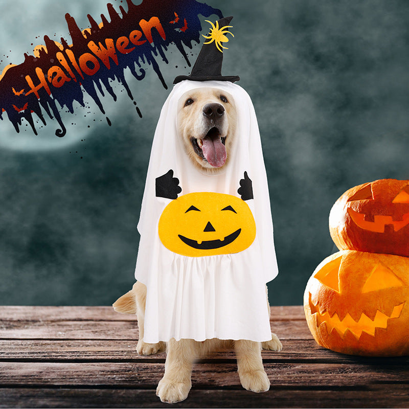 Pumpkin Ghost Pet Costume on a dog with witch hat