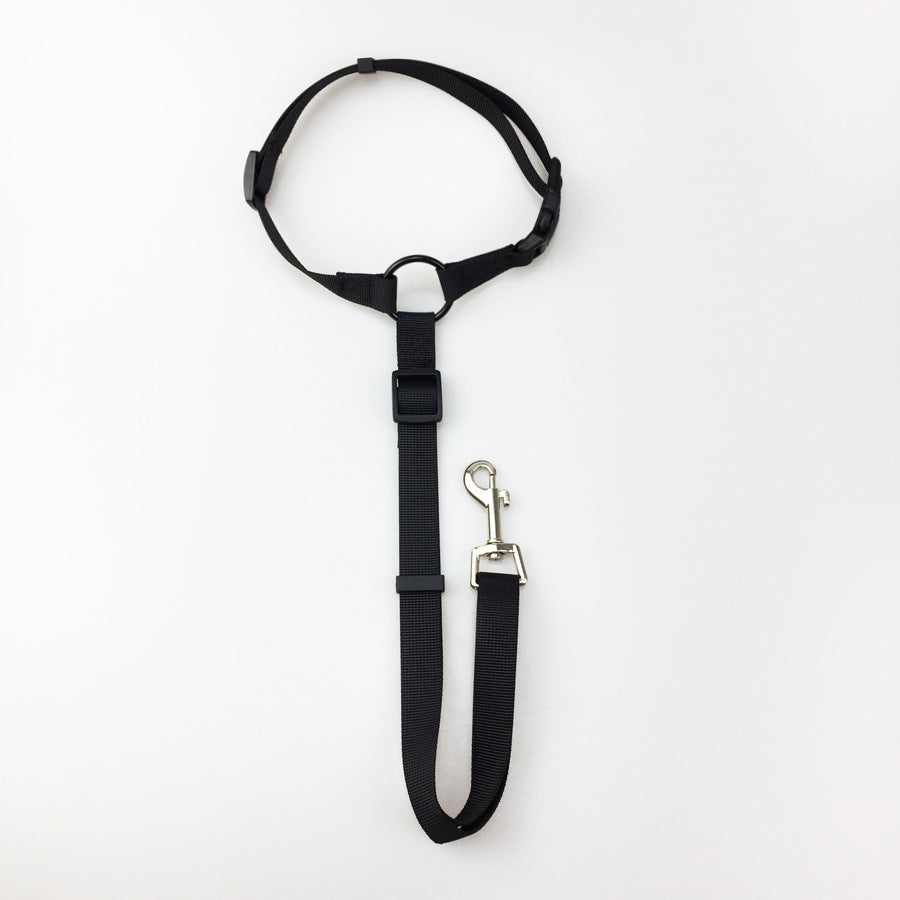 2-in-1 Dog Car Seat Belt & Leash – Black