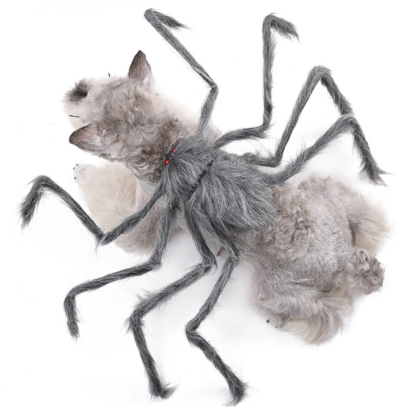 Halloween Spider Pet Costume – gray, worn by a cat
