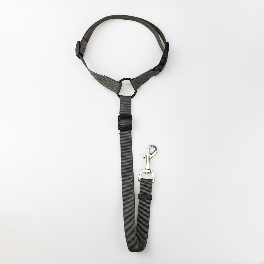 2-in-1 Dog Car Seat Belt & Leash – Grey