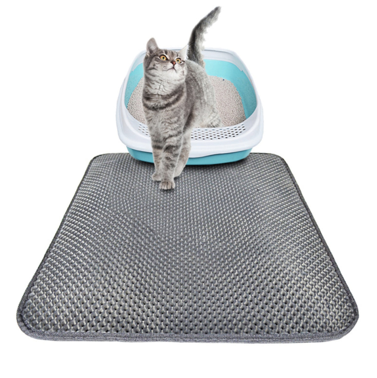 Double-Layer Litter Trapping Mat – 46x60cm, 55x70cm