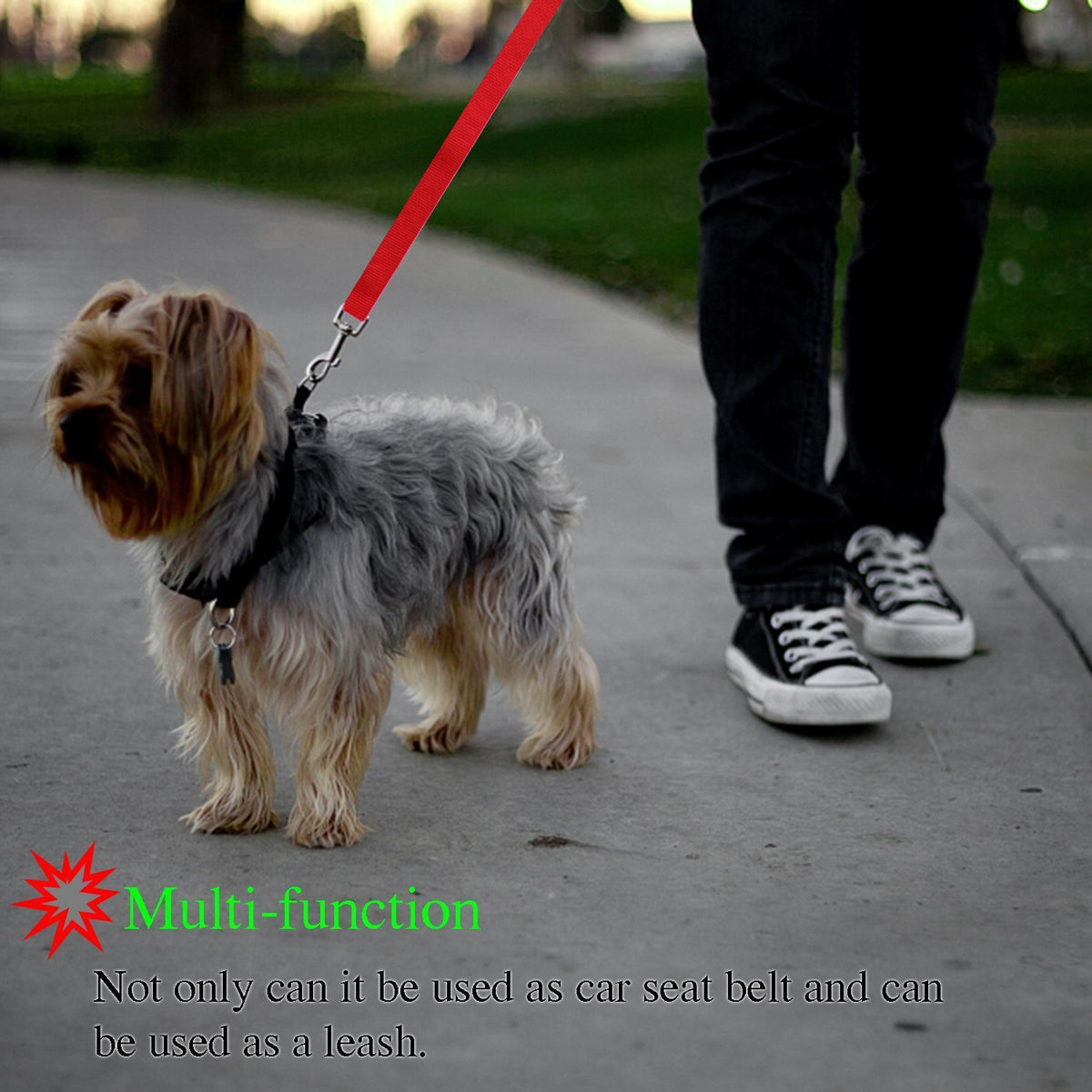 2-in-1 Dog Car Seat Belt & Leash – view 2