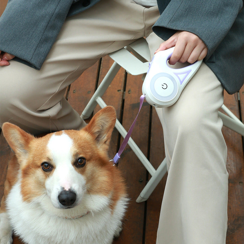 LED Retractable Dog Leash – view 2
