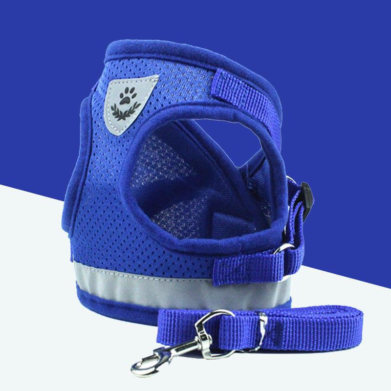 Breathable Mesh Harness & Leash Set – Blue