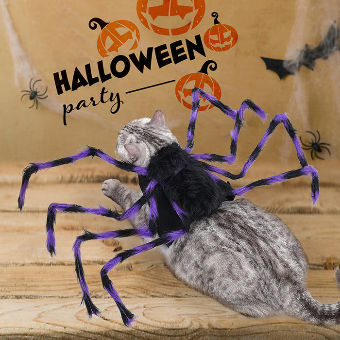 Halloween Spider Pet Costume on a cat at a Halloween party