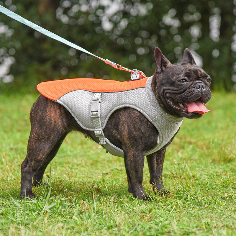 Summer Cooling Vest by Beasock