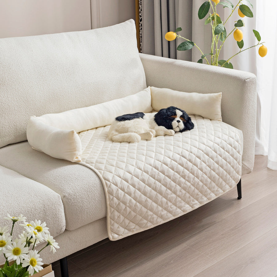 Your Sofa, Protected