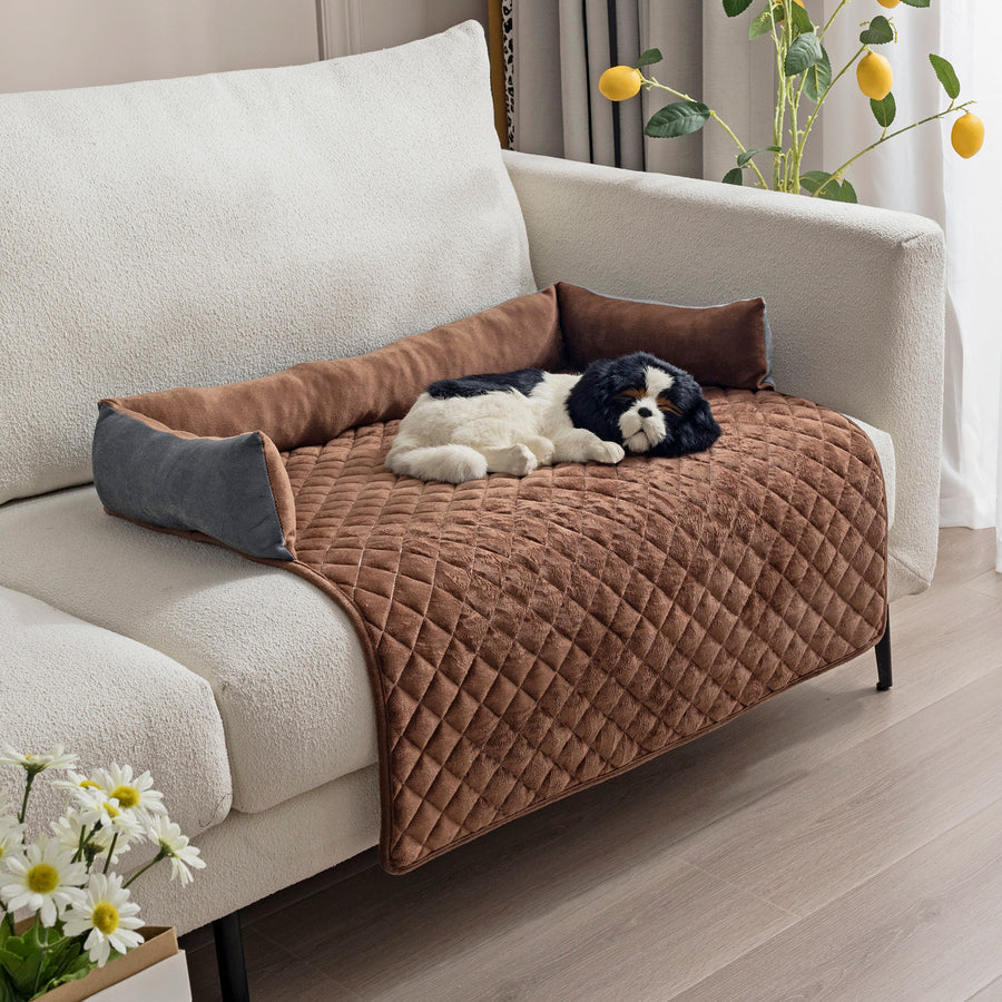 Your Dog, Spoiled