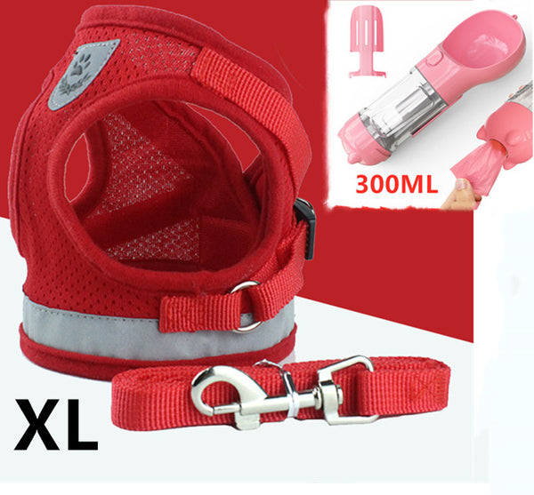 Matching Leash