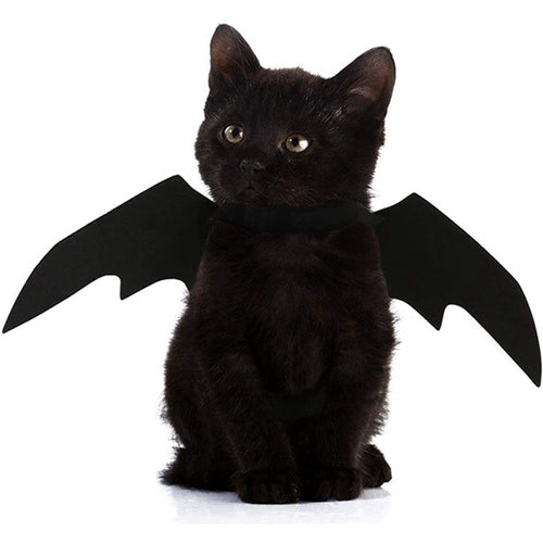 Halloween Bat Wings Pet Costume