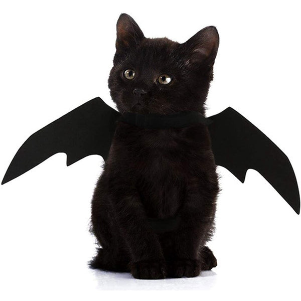 Halloween Bat Wings Pet Costume on a black cat
