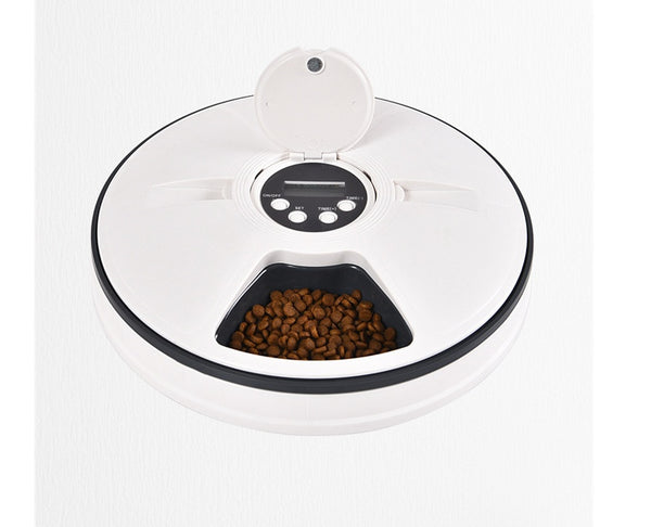 Meal Compartments