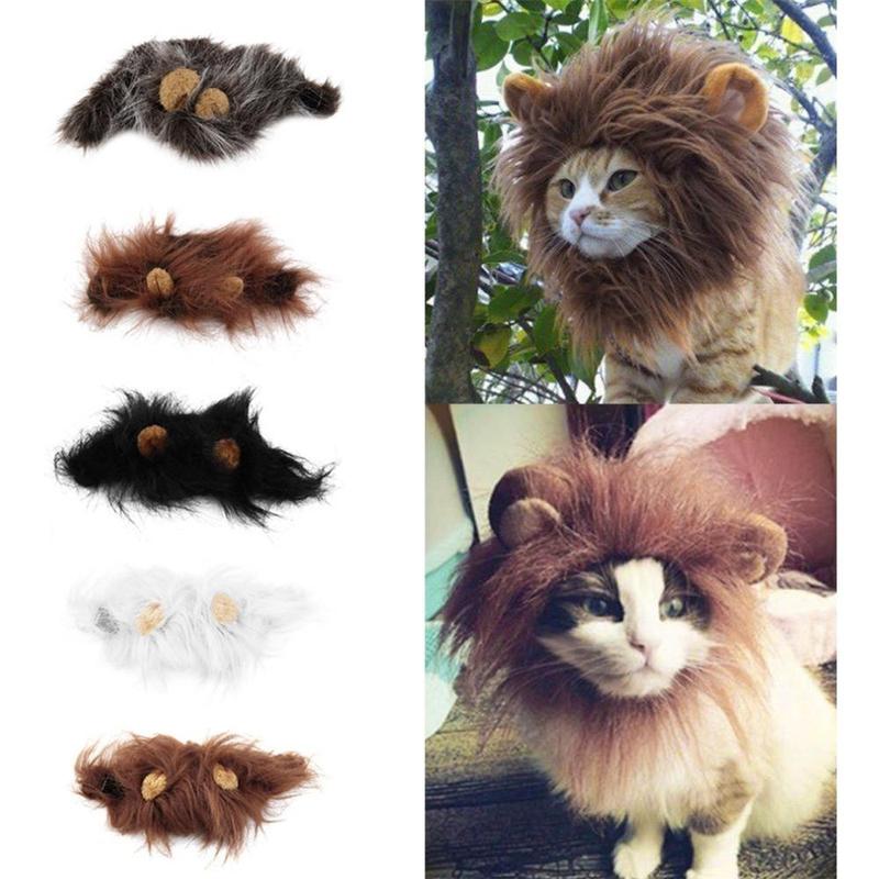 Lion Mane Costume – colors and cats wearing it