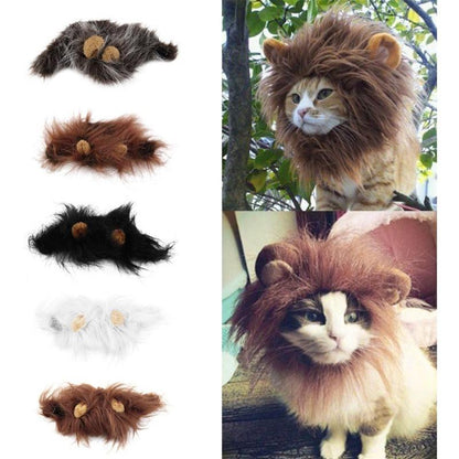 Lion Mane Costume – colors and cats wearing it