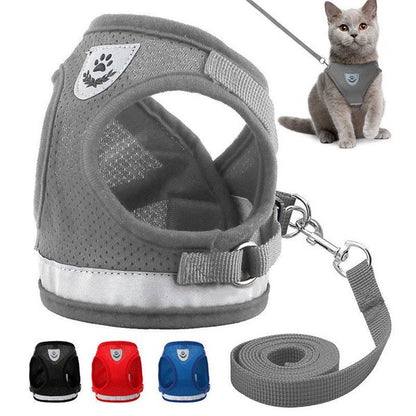 Breathable Mesh Harness & Leash Set by Beasock