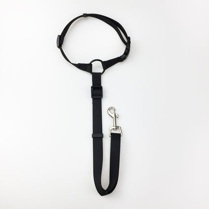 2-in-1 Dog Car Seat Belt & Leash – Black
