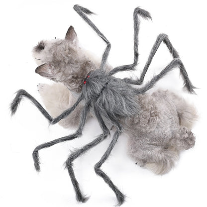 Halloween Spider Pet Costume – gray, worn by a cat