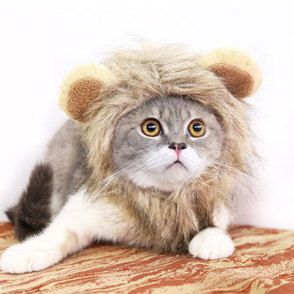 Lion Mane Costume on a gray and white cat