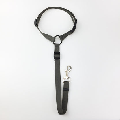 2-in-1 Dog Car Seat Belt & Leash – Grey