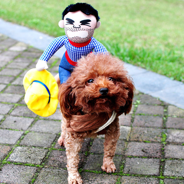 Cowboy Rider Dog Costume – plush cowboy riding on a poodle