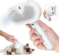 Mist Spray Grooming Comb