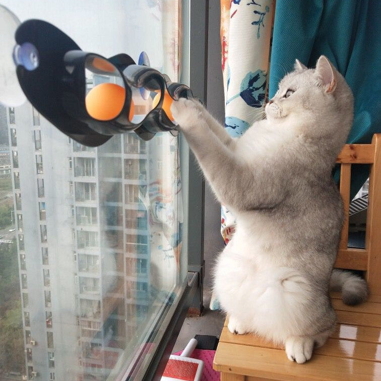 Window Time, Game Time