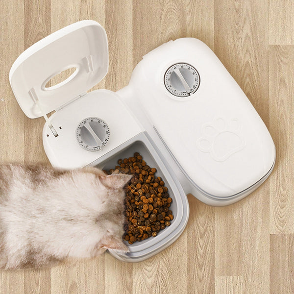 For Cats and Dogs