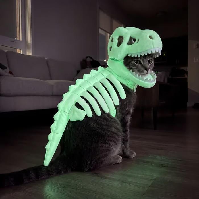 Jurassic Cool