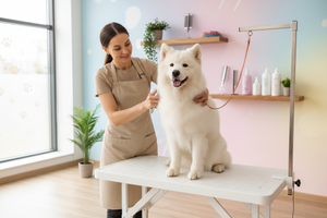 grooming and care