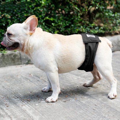 Washable Male Dog Wrap by Beasock