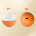 3D Memory Crystal Ball Video Player