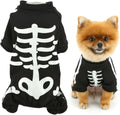 Glow-in-the-Dark Skeleton Pet Costume