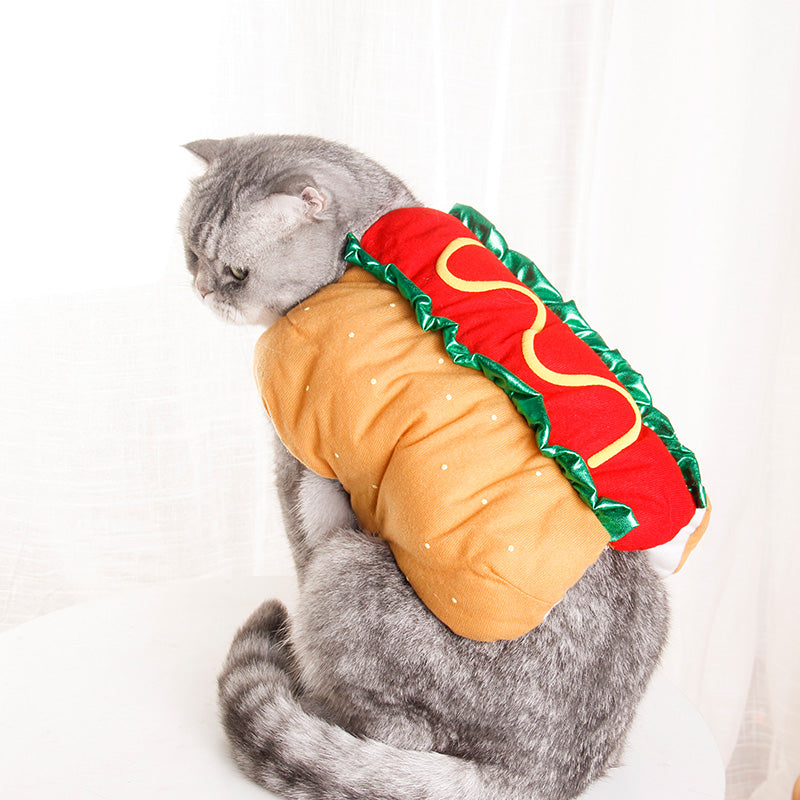 Fun for Cats, Too