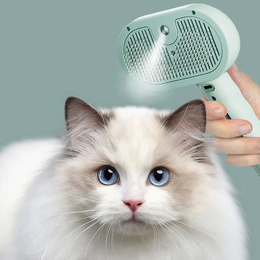 Mist, Comb, Shine