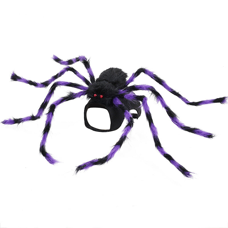 Halloween Spider Pet Costume – Black & Purple