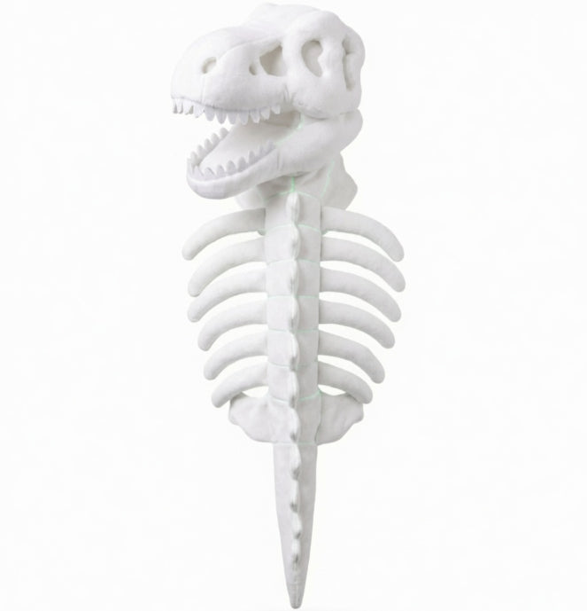 Dinosaur Skeleton Pet Costume – White