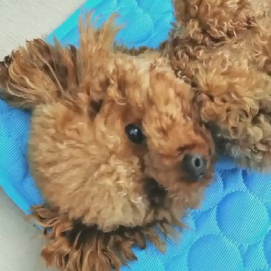 Ice Silk Cooling Pad video