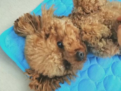Ice Silk Cooling Pad video