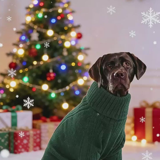 Cable Knit Pet Sweater video