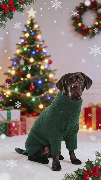 Cable Knit Pet Sweater video