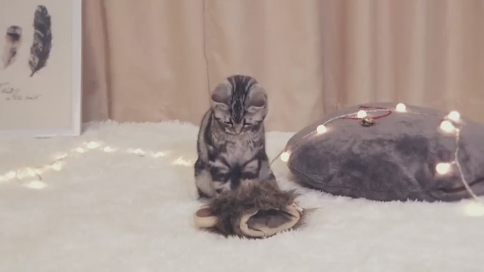 Lion Mane Costume for Cats & Small Dogs video