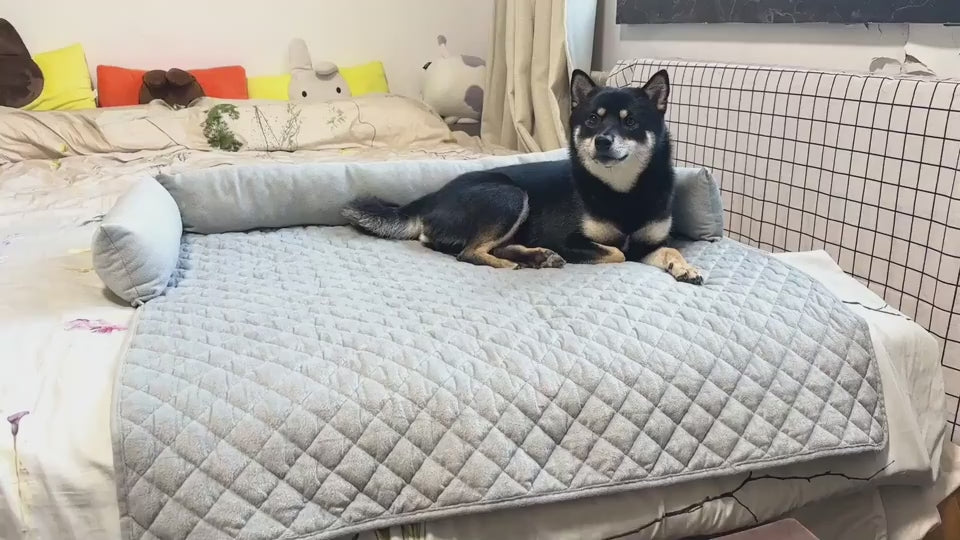 Furniture-Protecting Dog Sofa Bed video