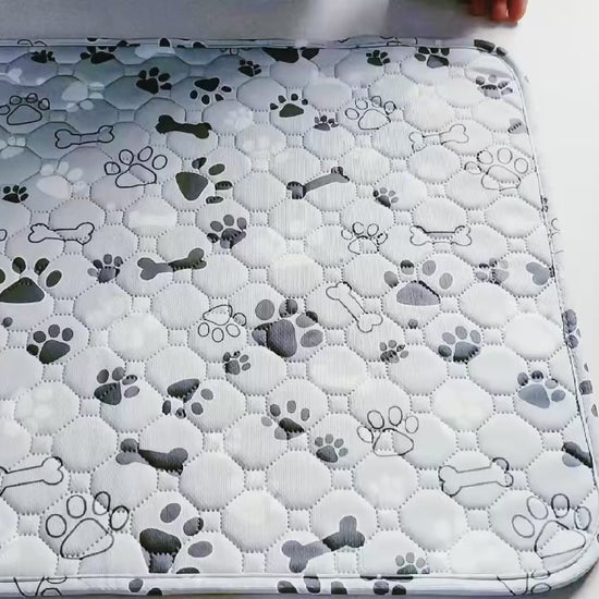 3-Layer Waterproof Pee Pad video