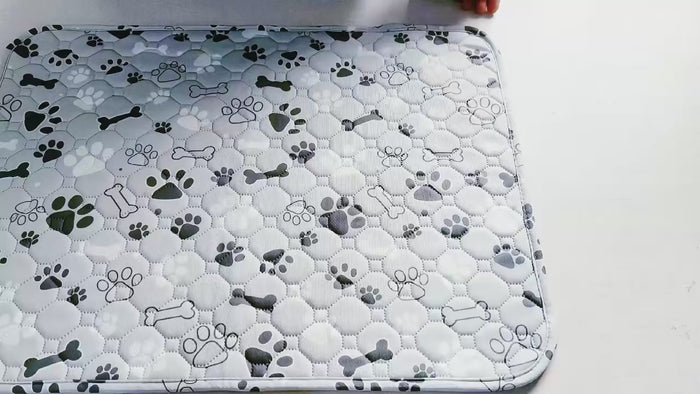 3-Layer Waterproof Pee Pad video