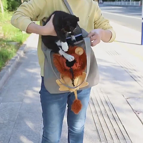 Lion Mane Pet Carrier video