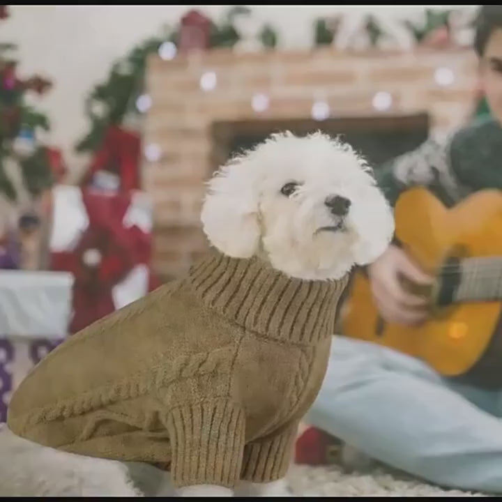 Cable Knit Pet Sweater video