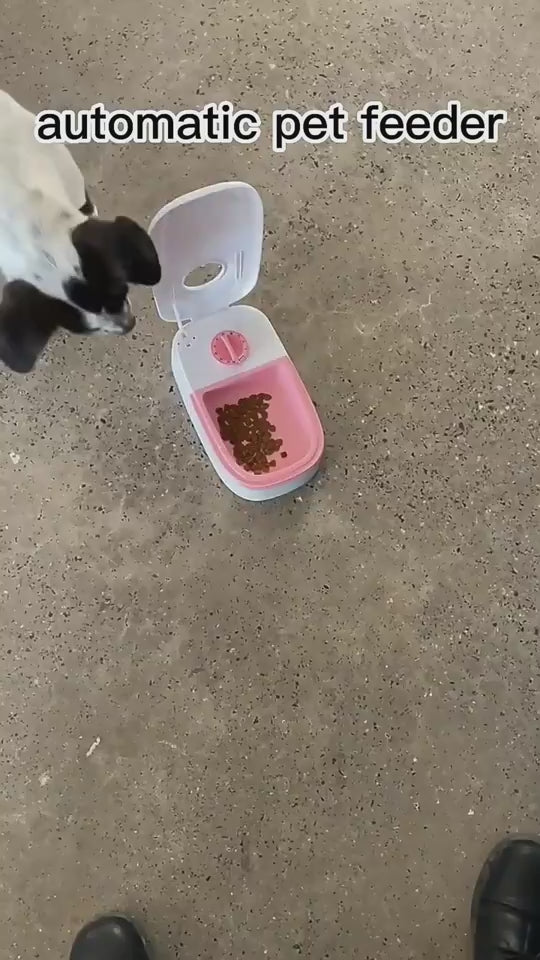 Timed Auto-Open Pet Feeder video 3